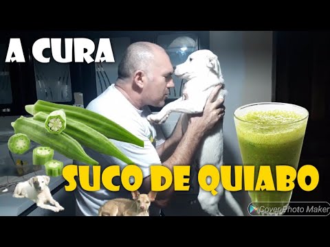 Suco De Quiabo Pode Salvar O Seu Cachorro SAIBA COMO FAZER E DAR AO