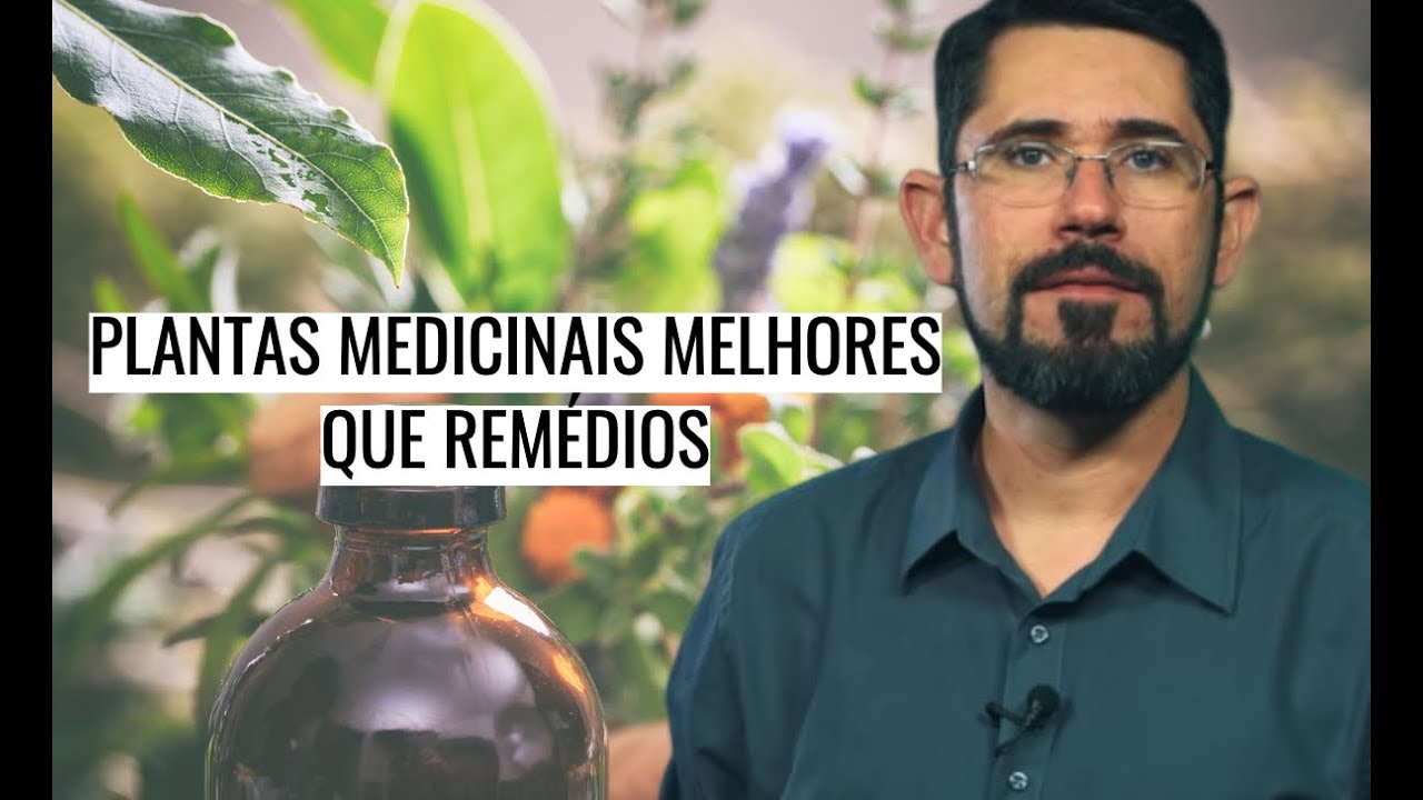 Plantas Medicinais Melhores Que Rem Dios Ep Curas Pela Natureza