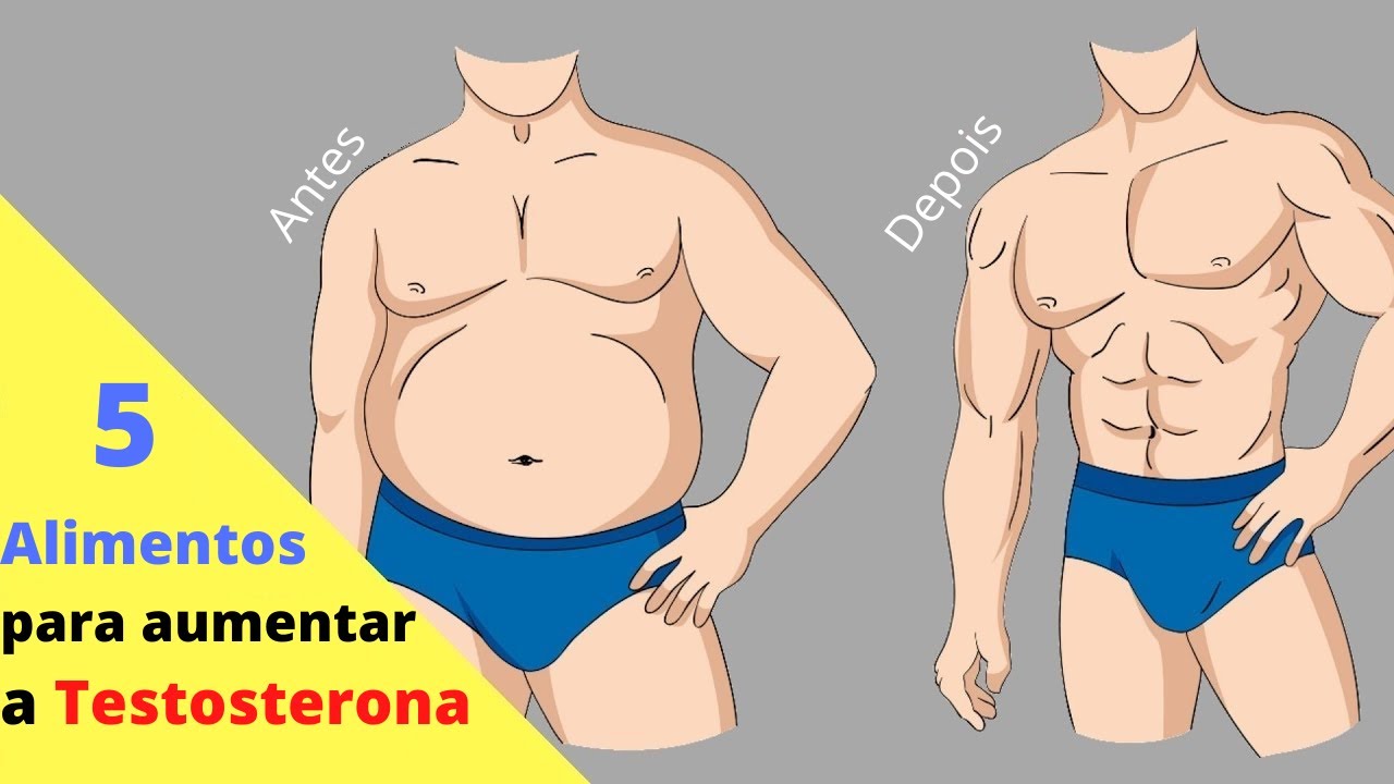 Alimentos Para Aumentar A Testosterona Que Todo Homem Deveria Comer