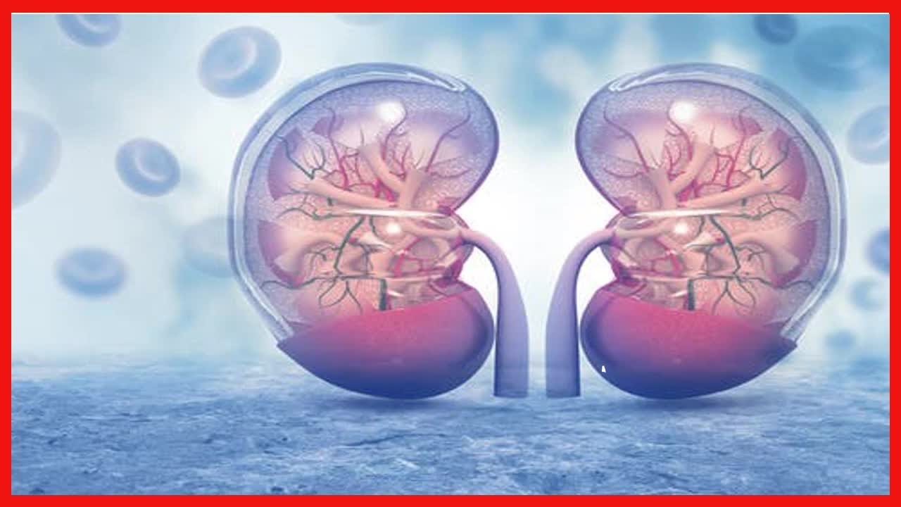 Proteína na urina sintomas, causas e tratamento Proteína na urina sintomas, causas e tratamento