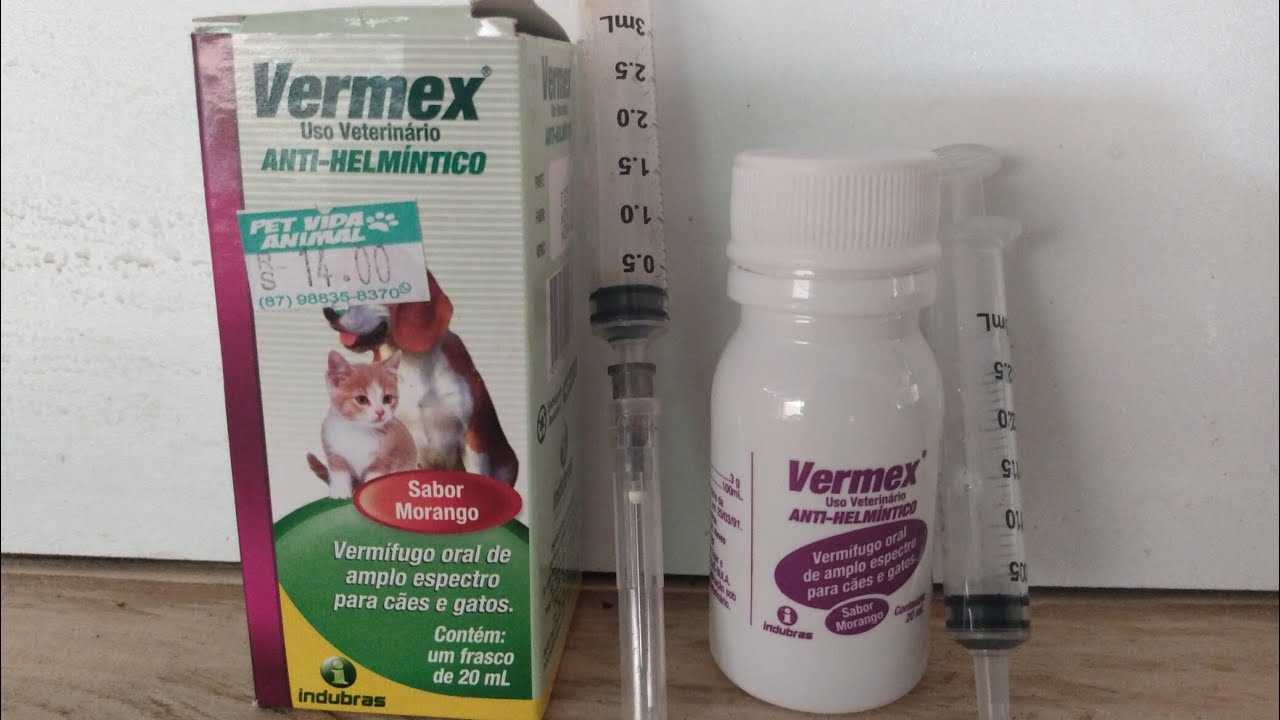 Dicas para aplicar remédio de verme em cachorros com segurança