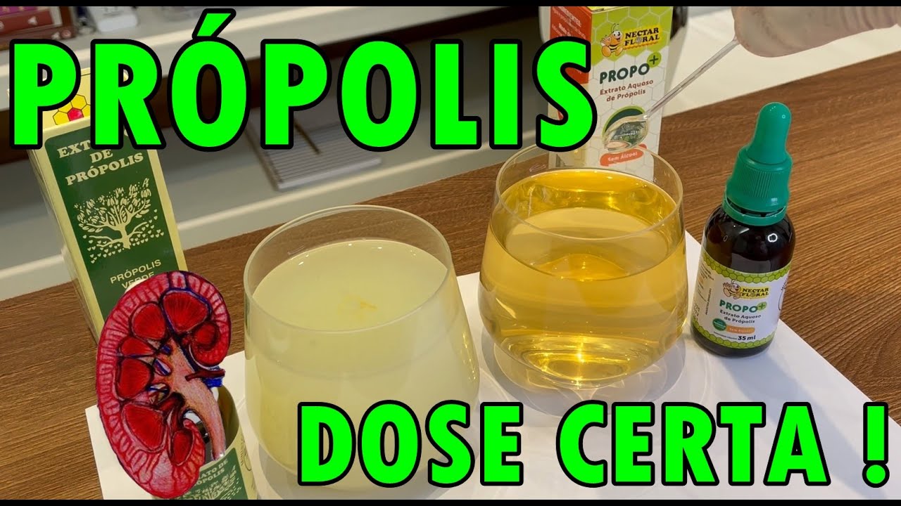 Benefícios e forma correta de usar o própolis na Doença Renal Crônica