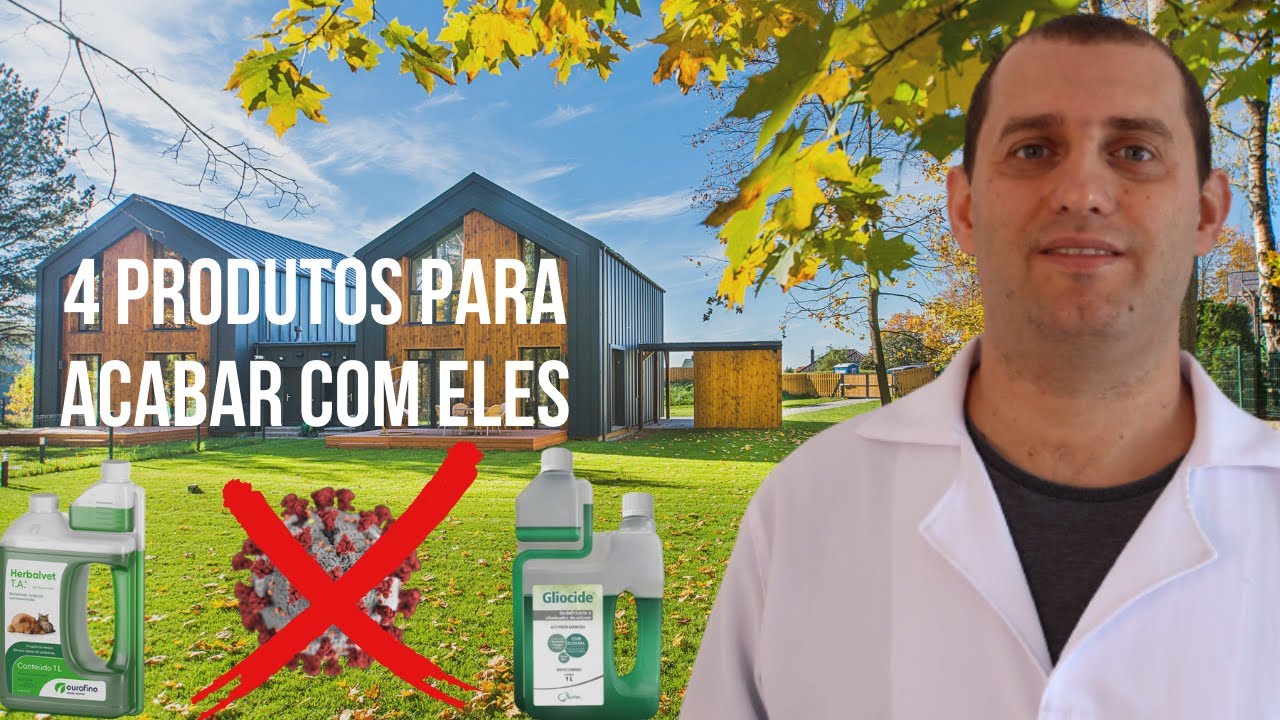Como Eliminar o Vírus da Cinomose e Parvovirose no Ambiente: 4 Produtos ...