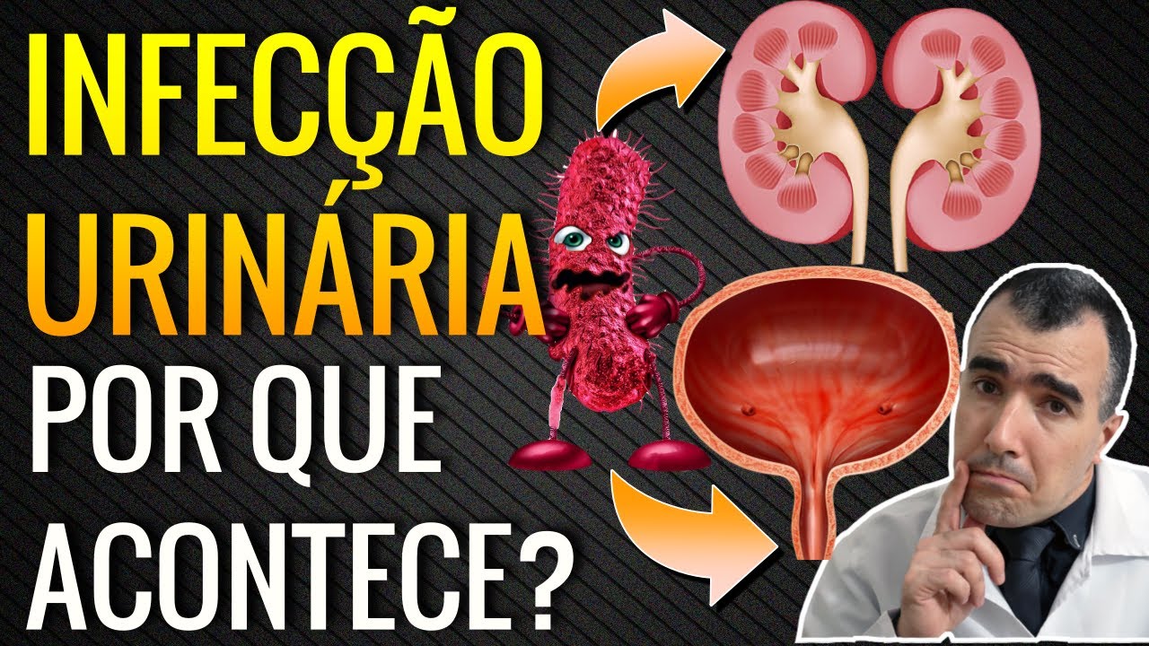 Infecção Urinária: Entenda como a bactéria afeta os rins e a bexiga
