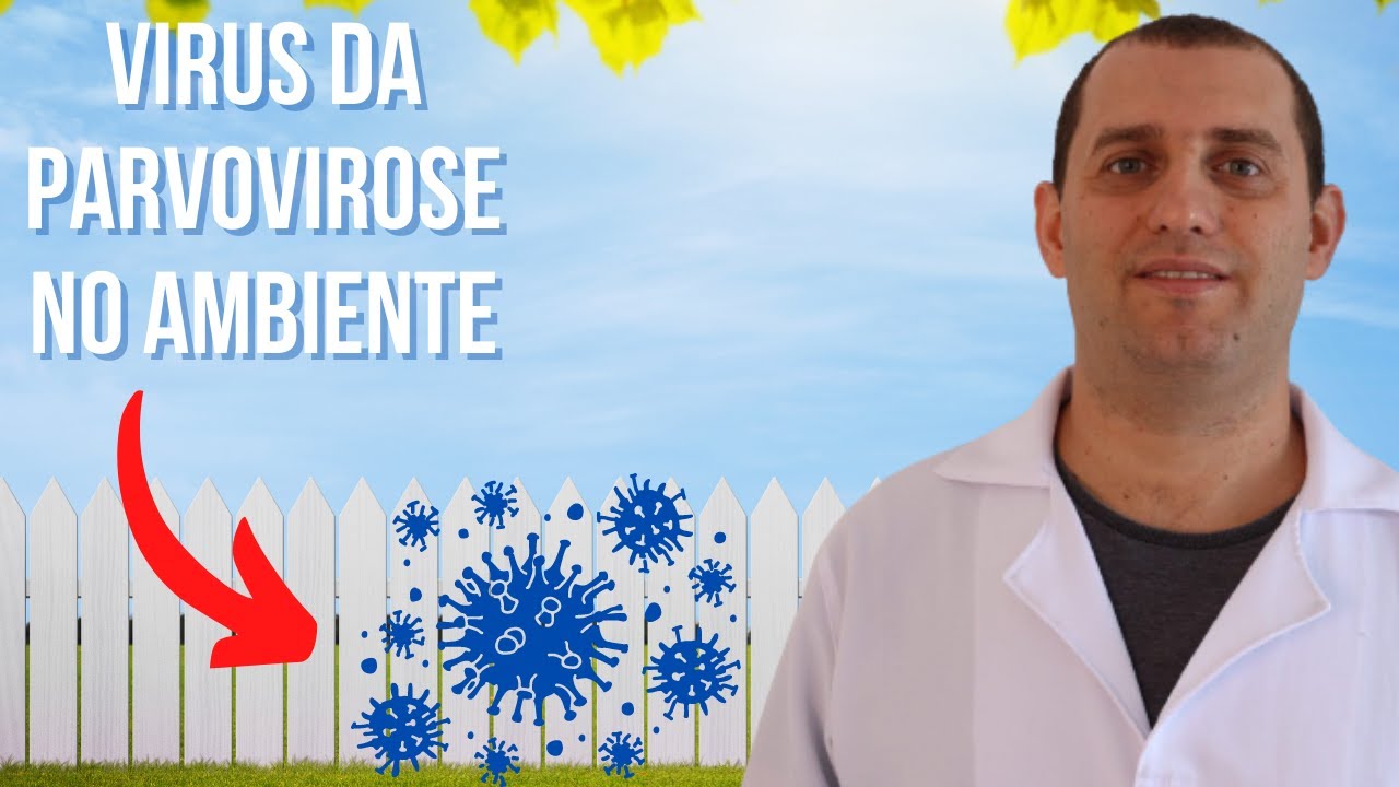 Parvovirose: tempo de sobrevivência do vírus no ambiente.