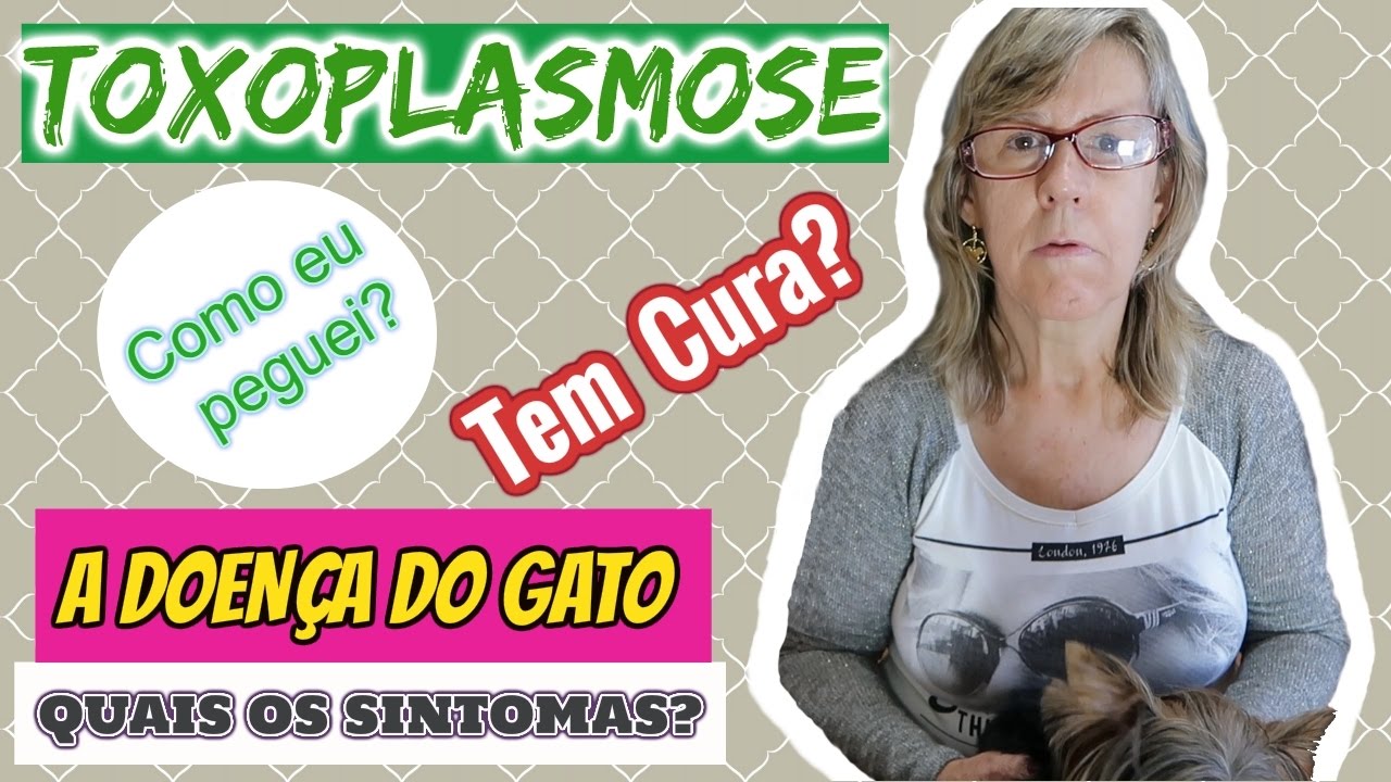 Toxoplasmose Sintomas Causas E Tratamentos Da Doença 7204